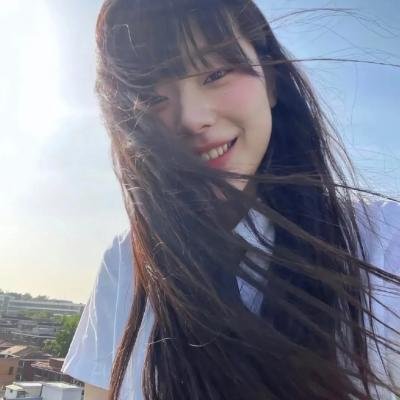森林之境